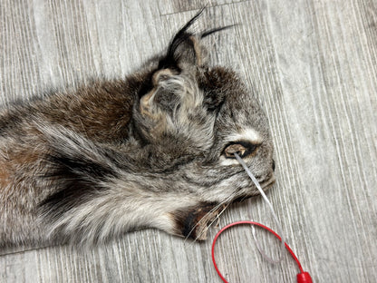 Peau - Lynx #0001158