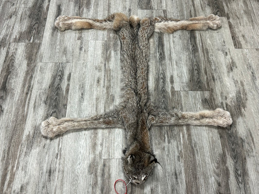 Peau - Lynx #0001158
