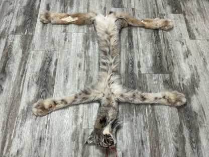 Peau - Lynx #0001158