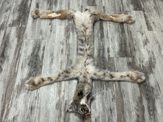 Peau - Lynx #0001158