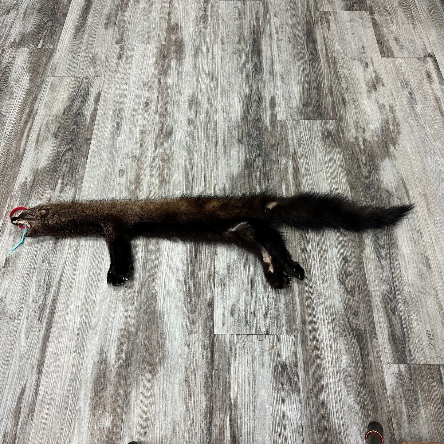 Peau - Pekan #0001159