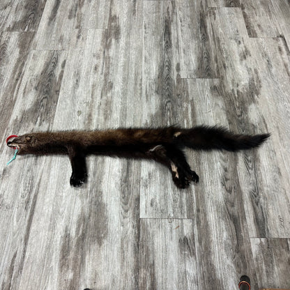 Peau - Pekan #0001159