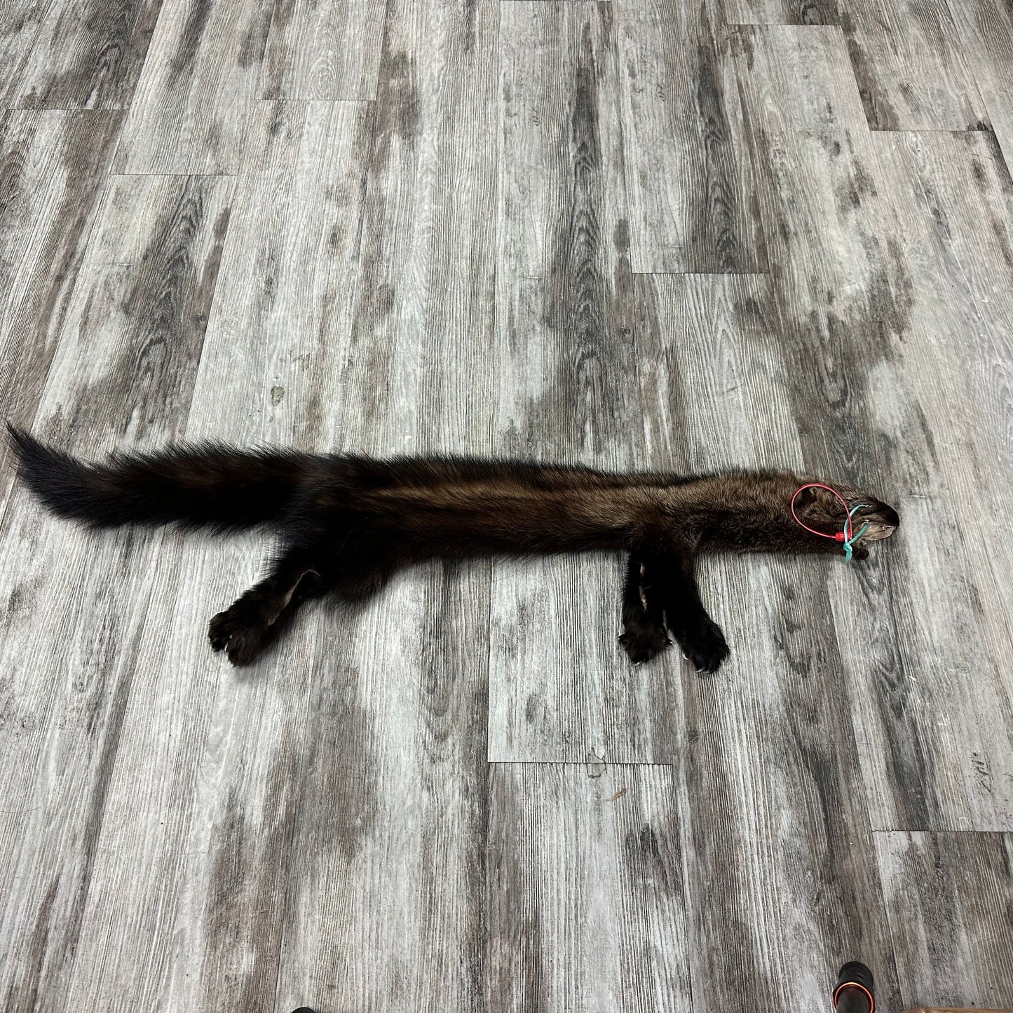 Peau - Pekan #0001159