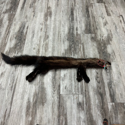 Peau - Pekan #0001159