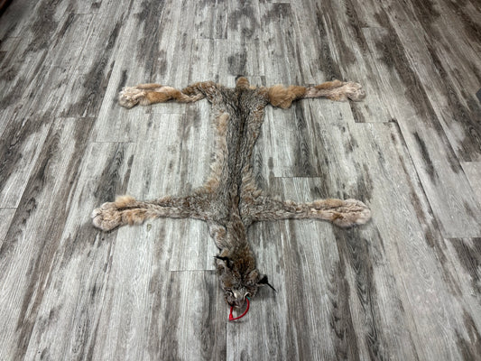 Dressed Skin - Lynx #0001181