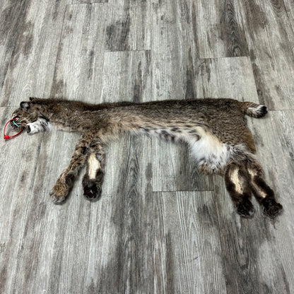 Dressed Skin - Bobcat #0001182