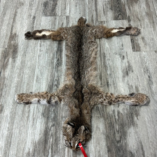 Peau - Bobcat #0001182