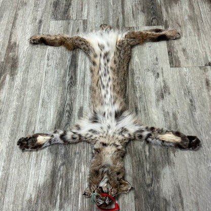 Dressed Skin - Bobcat #0001182