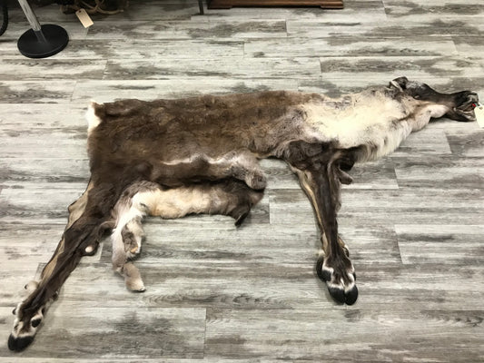 PEAU - CARIBOU #02123