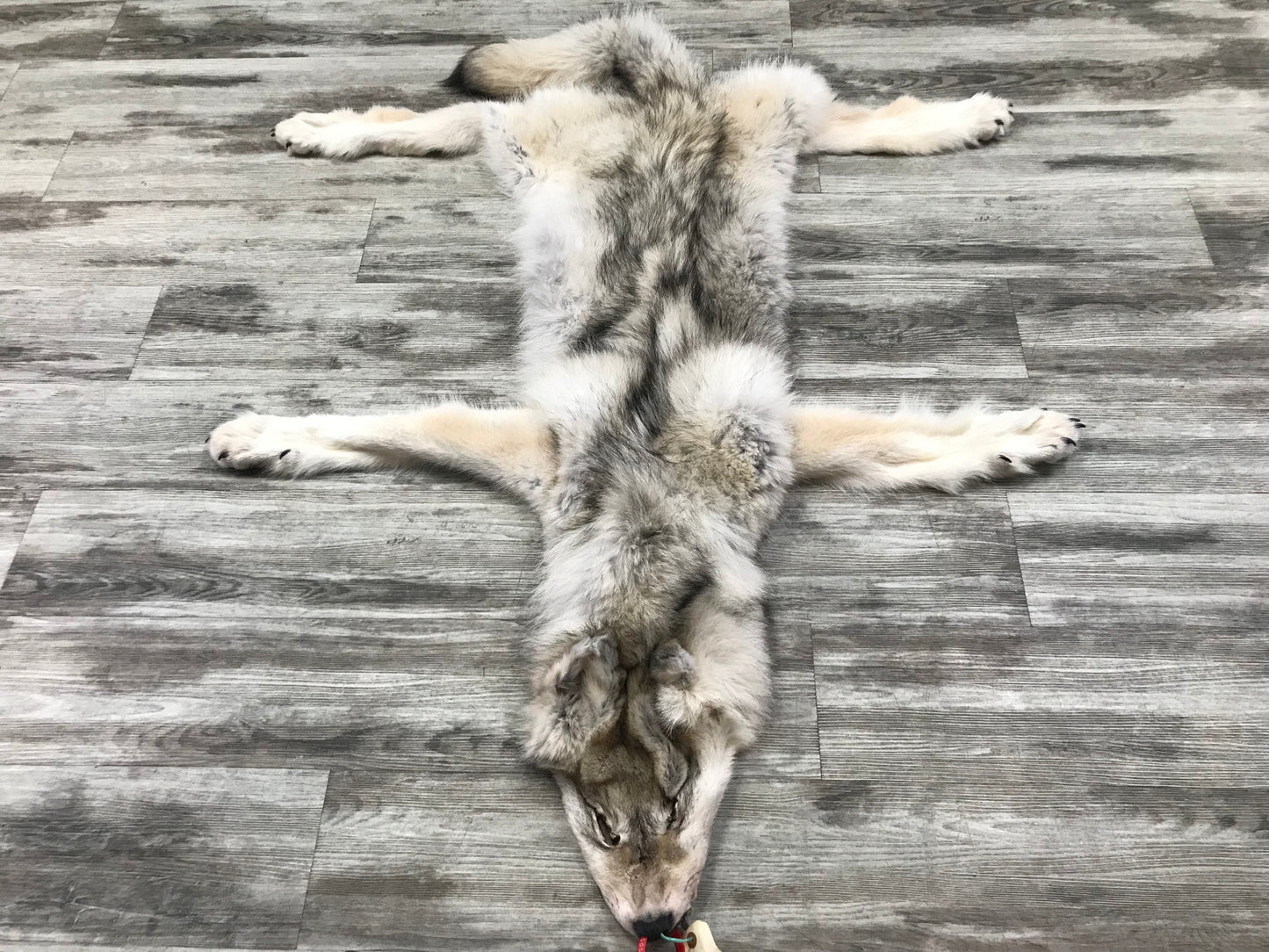 Peau - Loup Arctique #0000799