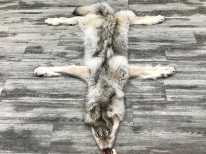 Peau - Loup Arctique #0000799