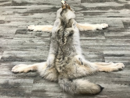 Peau - Loup Arctique #0000799