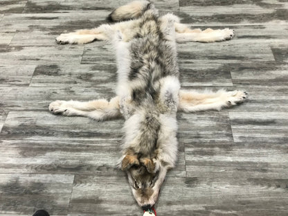 Peau - Loup Arctique #0000799