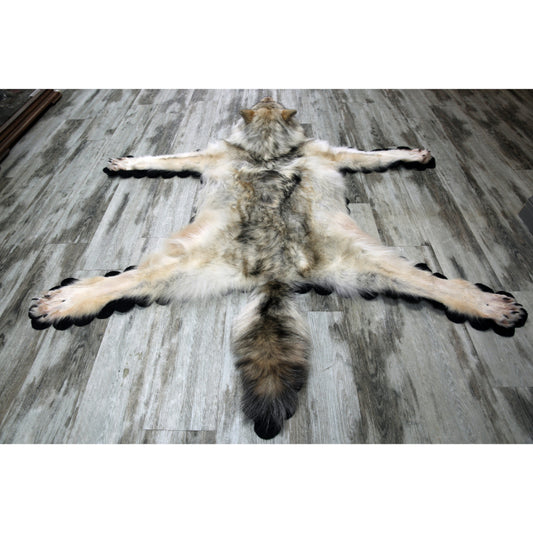 RUGS - ARCTIC WOLF - #11457 – BilodeauCanadaTaxidermy