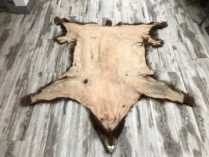 DRESSED SKINS - CINNAMON BEAR #03713