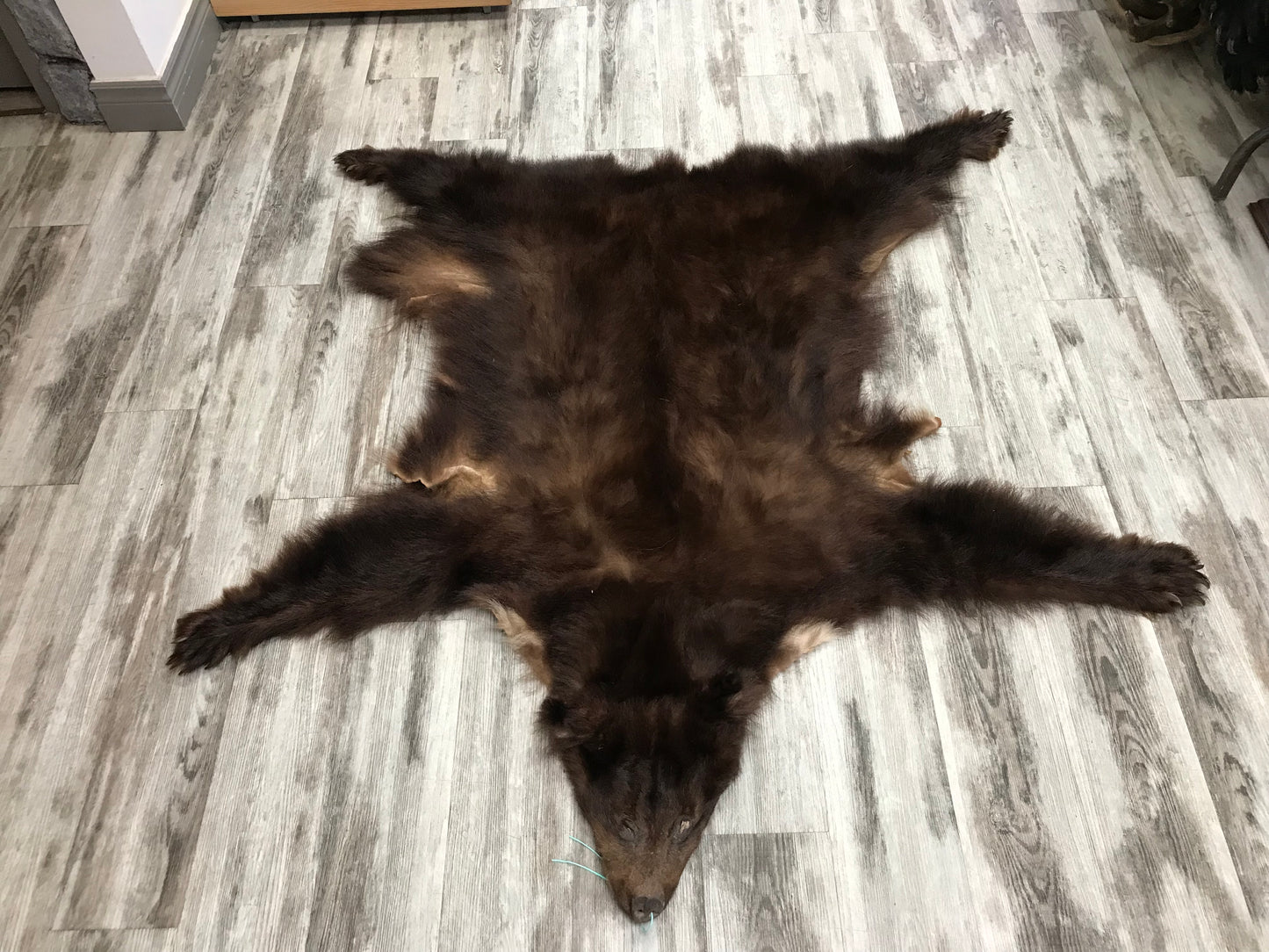 DRESSED SKINS - CINNAMON BEAR #03713