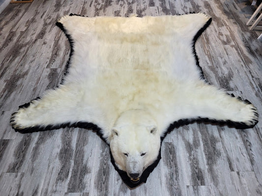 Rugs - Polar Bear #22476