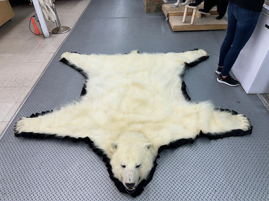 Rugs - Polar Bear #38189