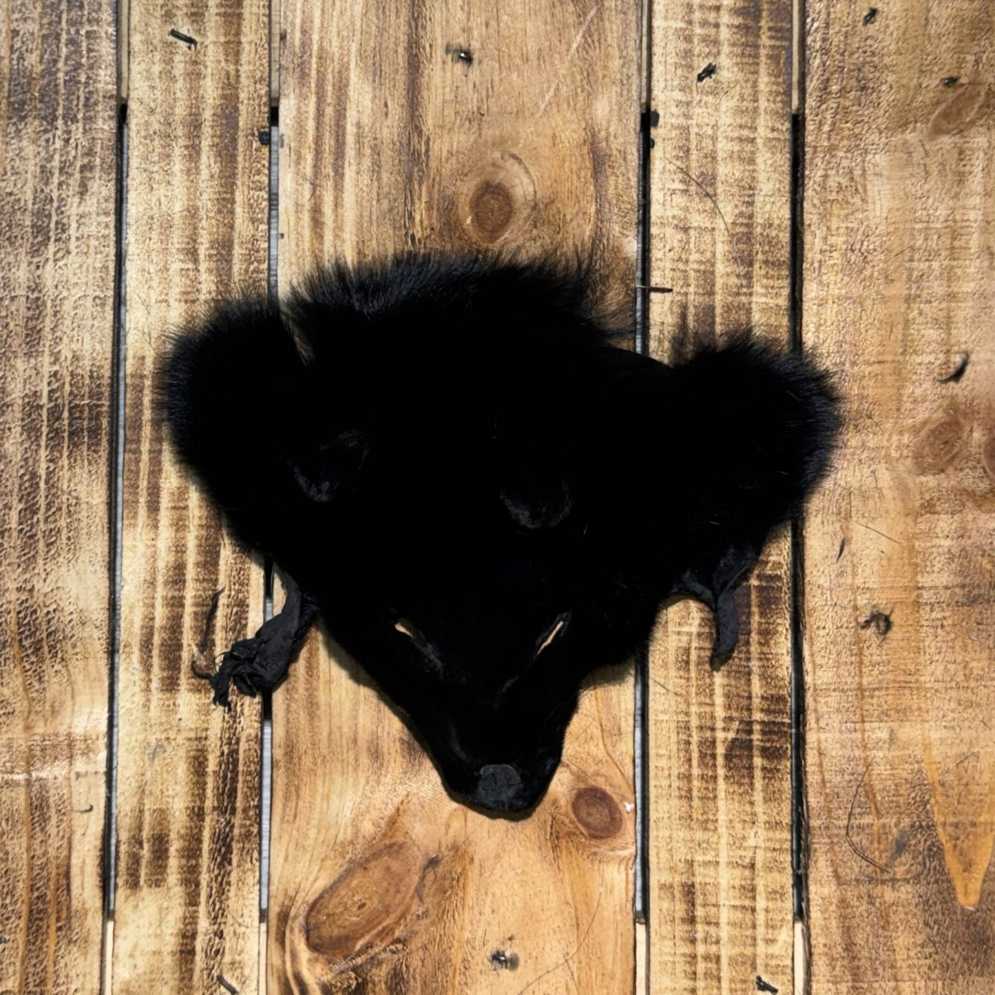 Tête de Renard teinte Noir