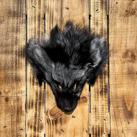 Tête de Renard Argenté