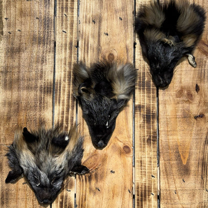 Cross Fox Head