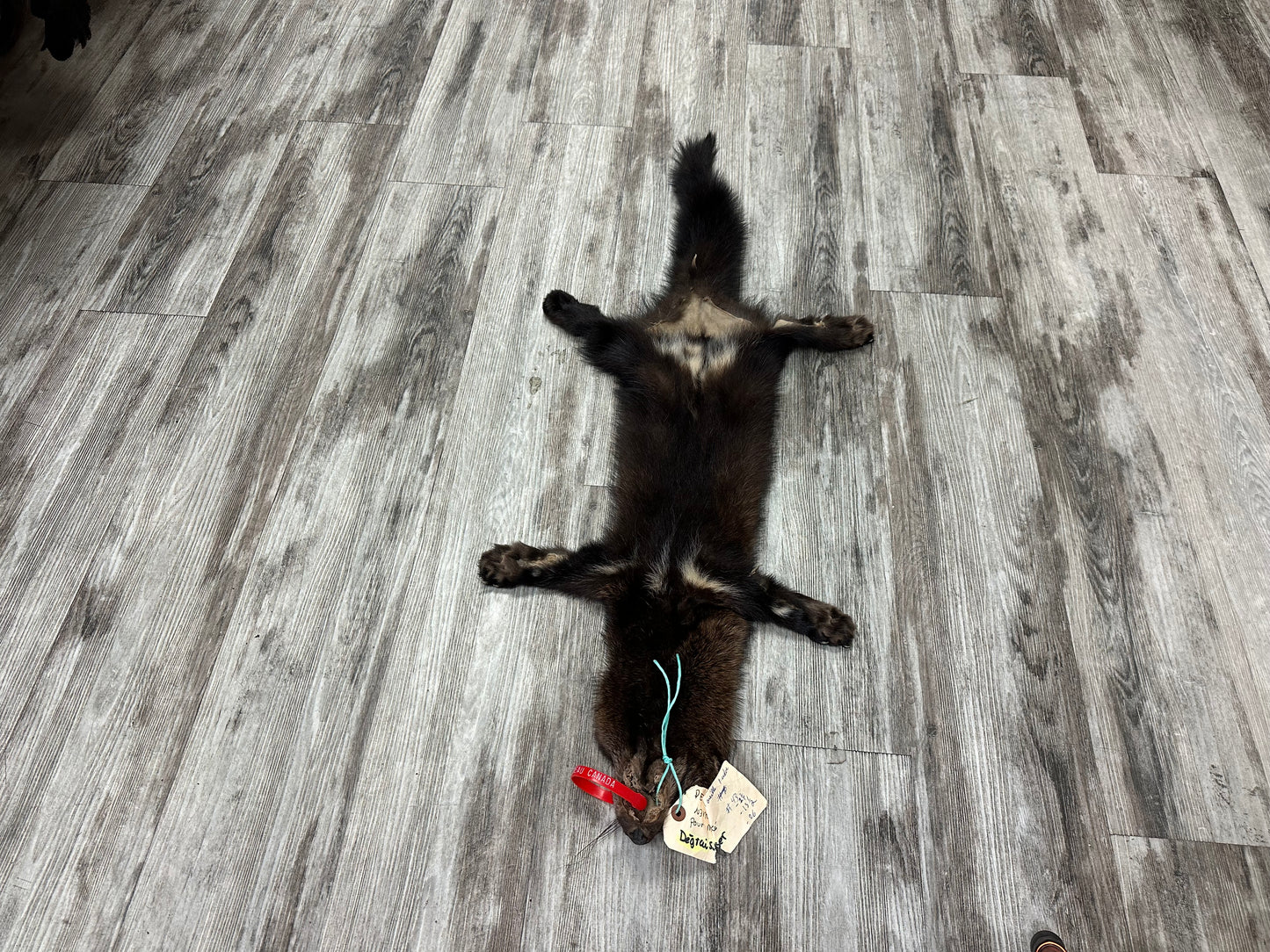 Peau - Pekan #0000935