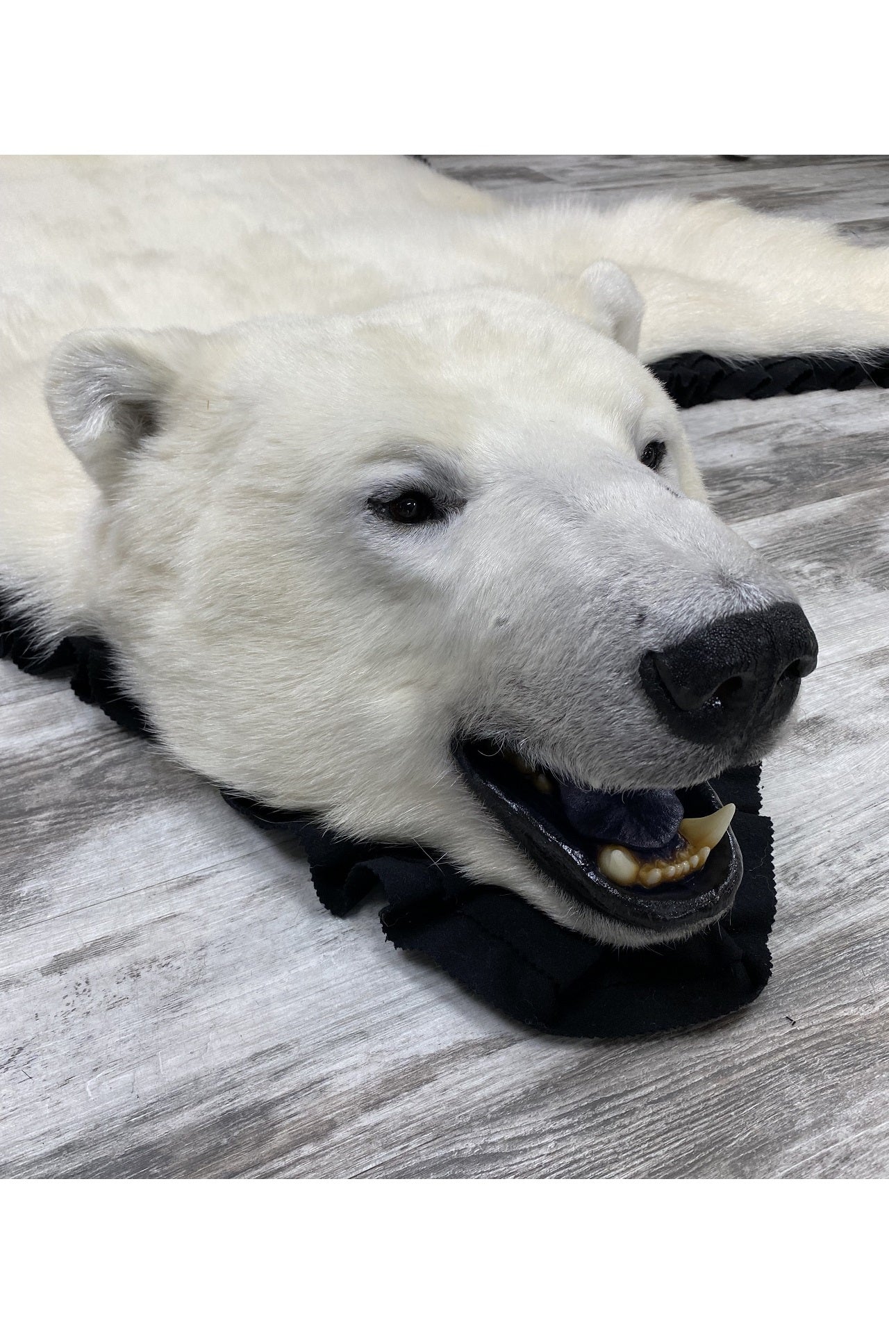 Store plush fake polar bear rug